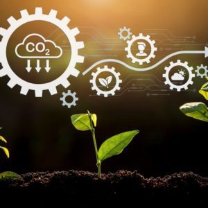 Carbon Literacy Knowledge