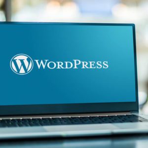 Create a WordPress Website in 24 Hours or Less Guaranteed
