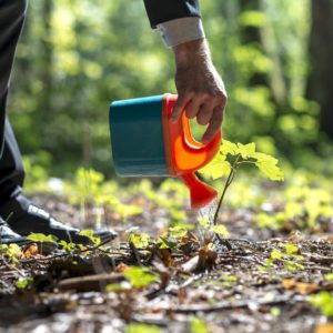 Environment Management