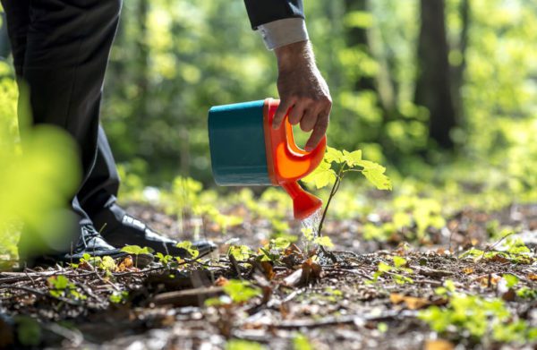 Environment Management
