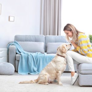 Professional Pet Sitting Business