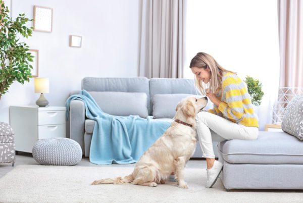 Professional Pet Sitting Business