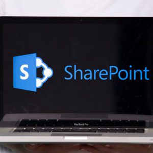 SharePoint Site Owner