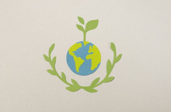 Environmental Awareness Training